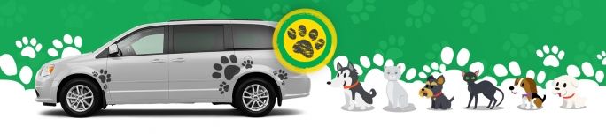 5 Top Cars for Your Pets