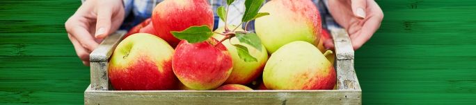 7 Best Apple-Picking Spots